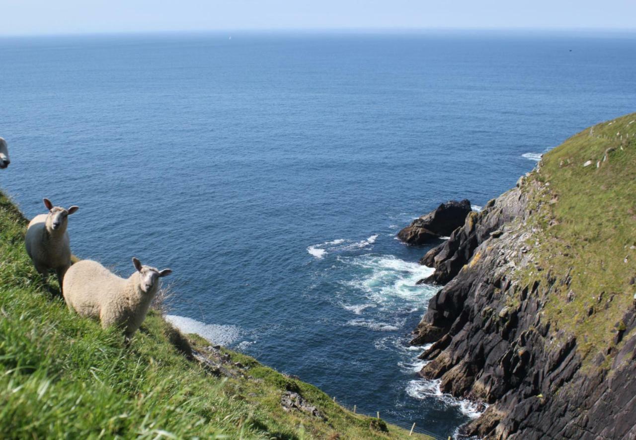 Dingle Bay View By Trident Holiday Homes Exteriér fotografie